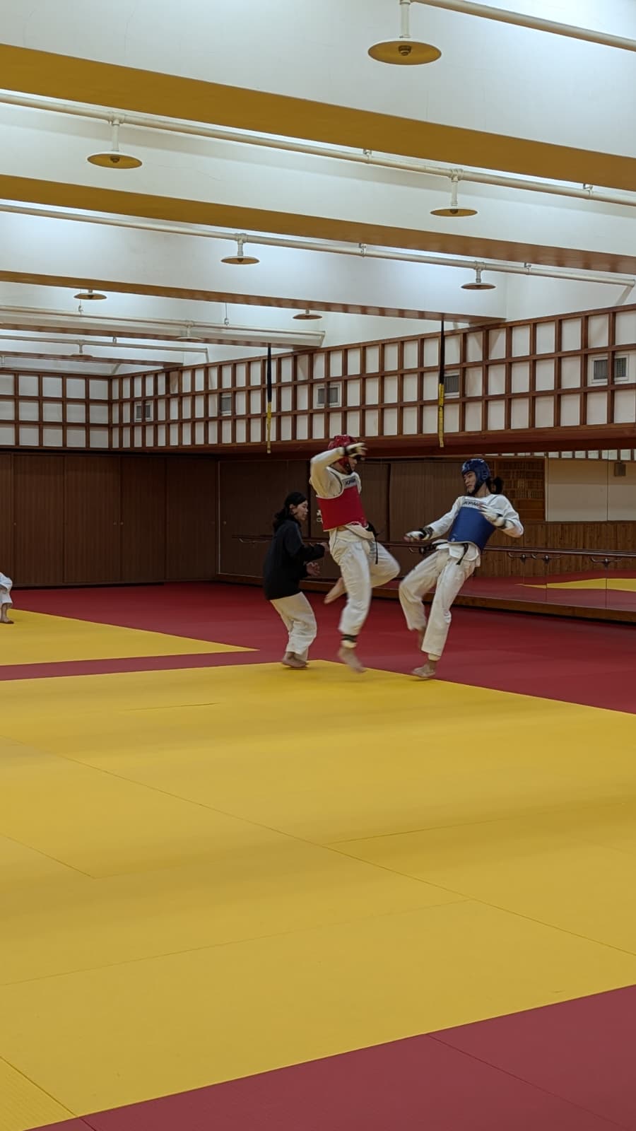 Martial Arts Training